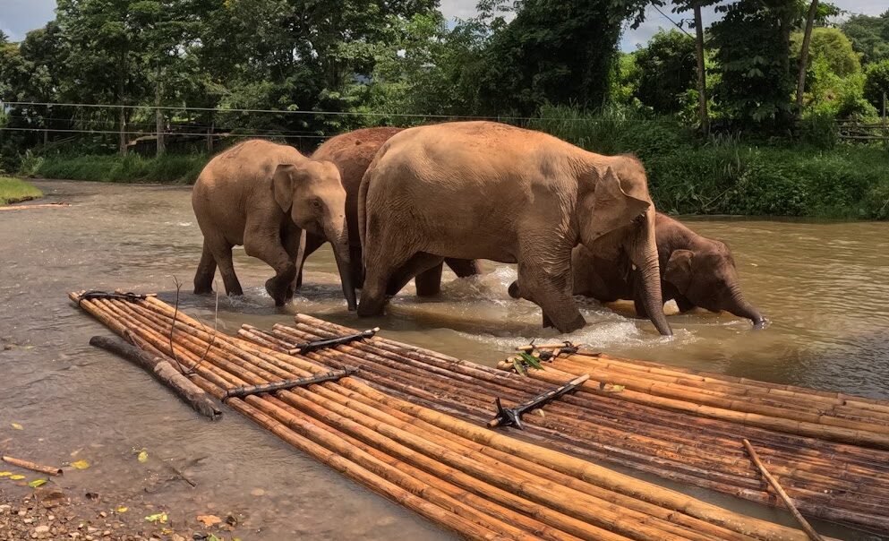 Guia de viaje a Tailandia